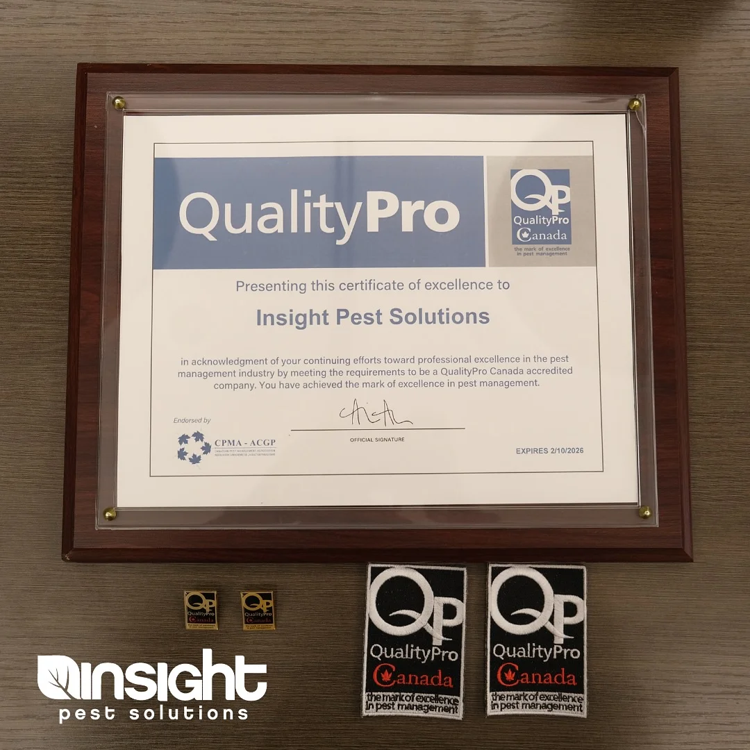 QualityPro Certification