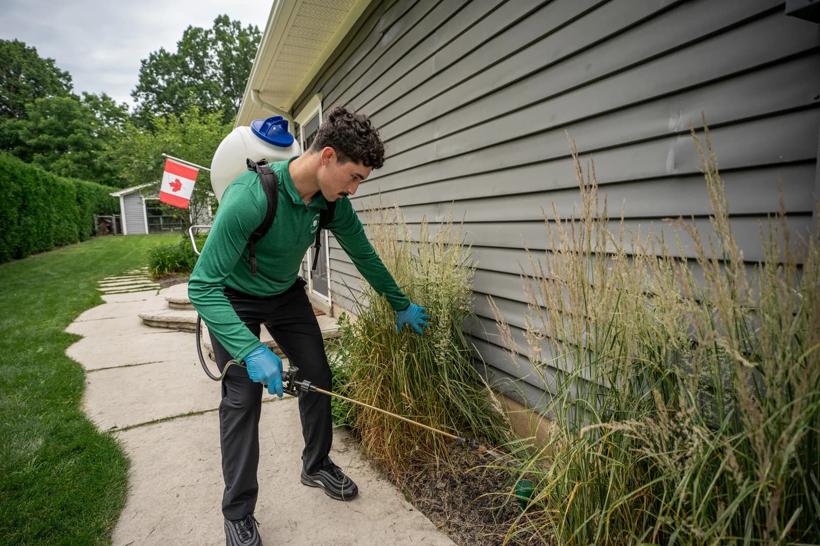 Pest Control Vancouver, British Columbia